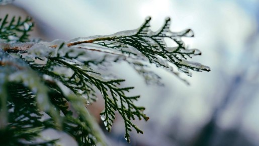 �������� ������� ���� ���������� ������ �� -30 ��������