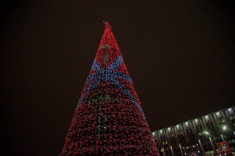 Сразу два проекта от Тульской области вышли в финал федерального этапа Всероссийского конкурса «Ёлки России»