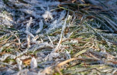 Погода на 11 января. Время рассвета: 08:44