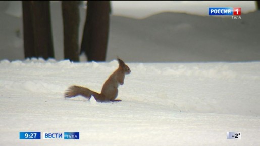 ���������� ��������� �������: ����������� � ���� �������� �� -20 ��������