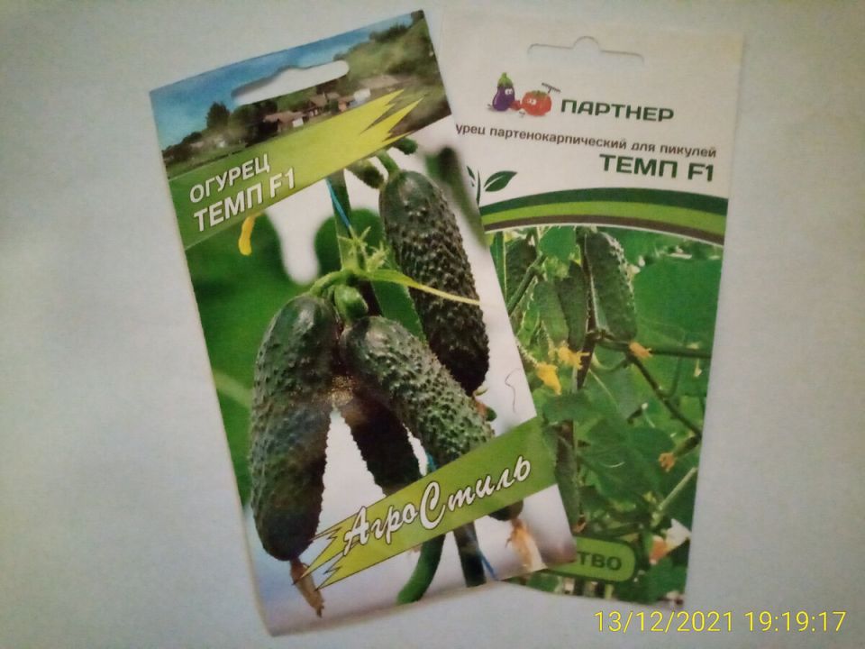 Ультранний гибрид Темп F1: идеальный огурец для вашего урожая в 2026 году