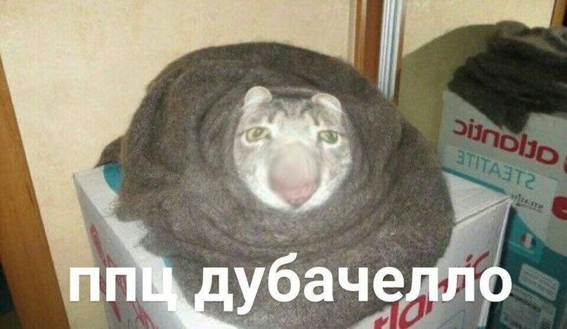 � �������� ������� � �������� ���������� �� -25 ��������