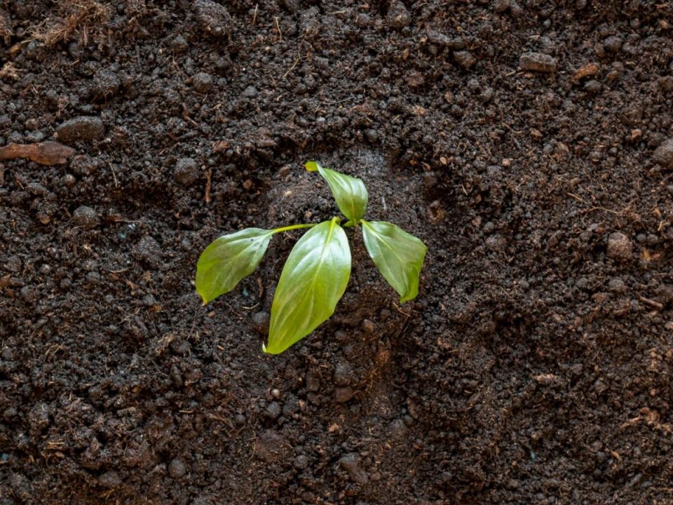 ��� �������� �������� ����� ����� ��������� ����� ���������