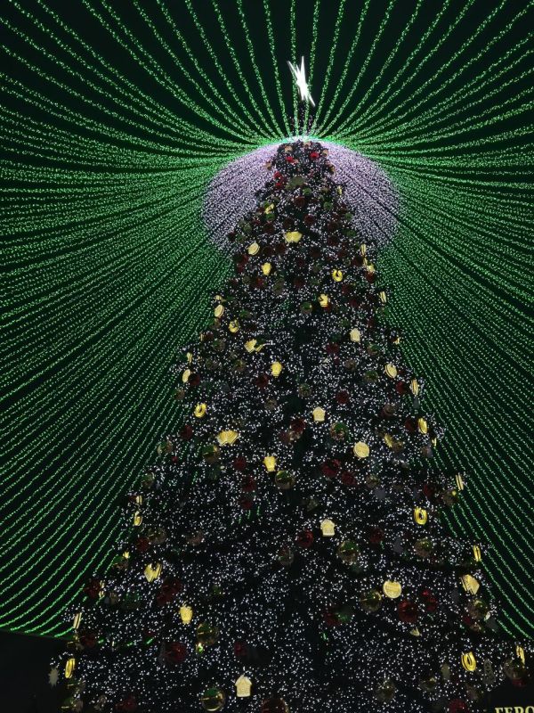 ������� ����� ������� ������������� ��� � ������ ������ ������ �� 1 �����