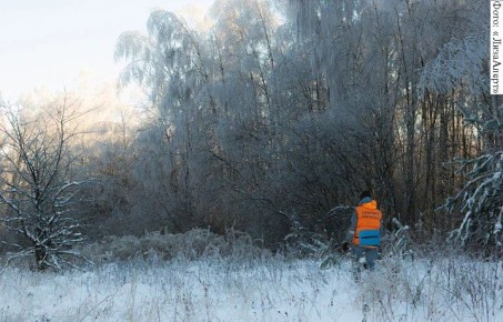 � ������� � �������� ������� ������ 51 �������