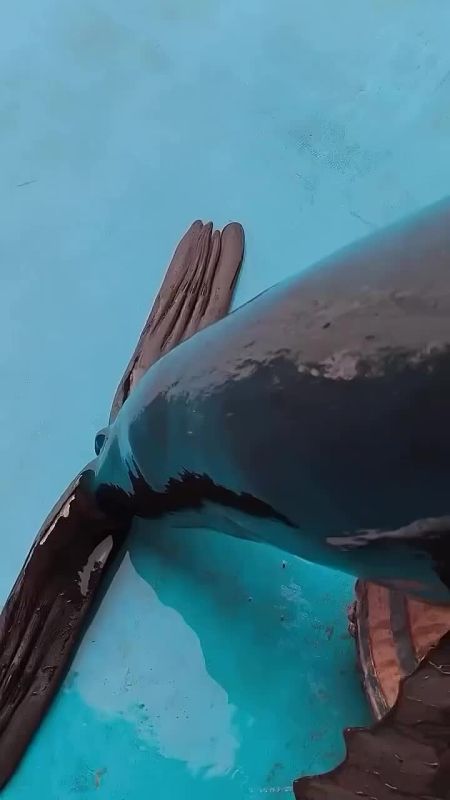 �����������, ��� � ������� ����� ������ ���, � ��� ��� ��� ����� ������� ������ �������