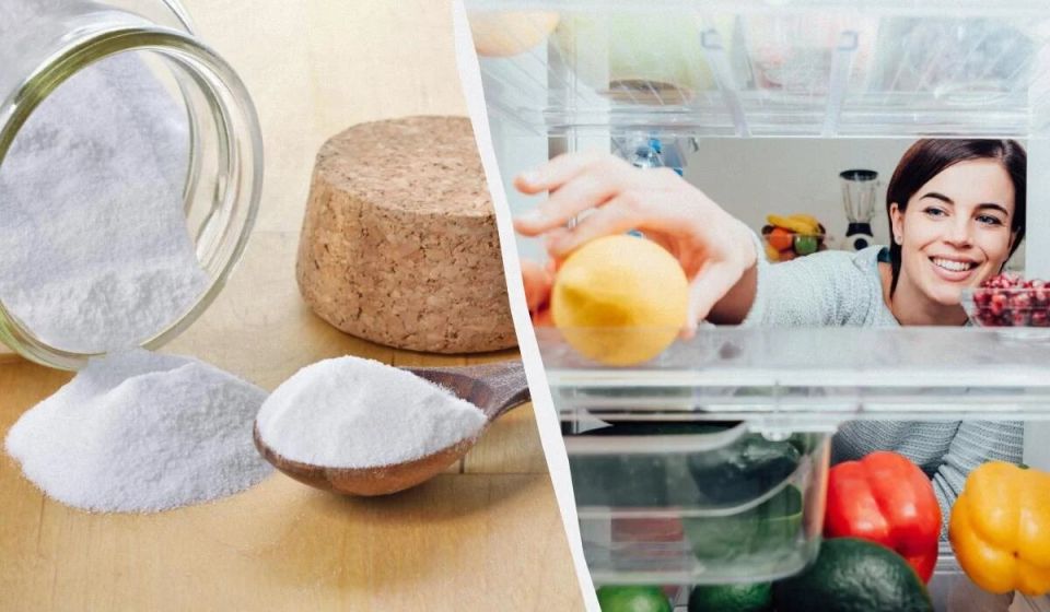 ����������� ������������ ������� ����: ��� ��� ������ ��������� � ������������