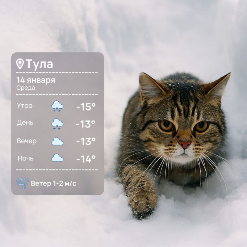 ������ ����. ������ ��� ������������� ��� � ����������� ����������! ���������� ������