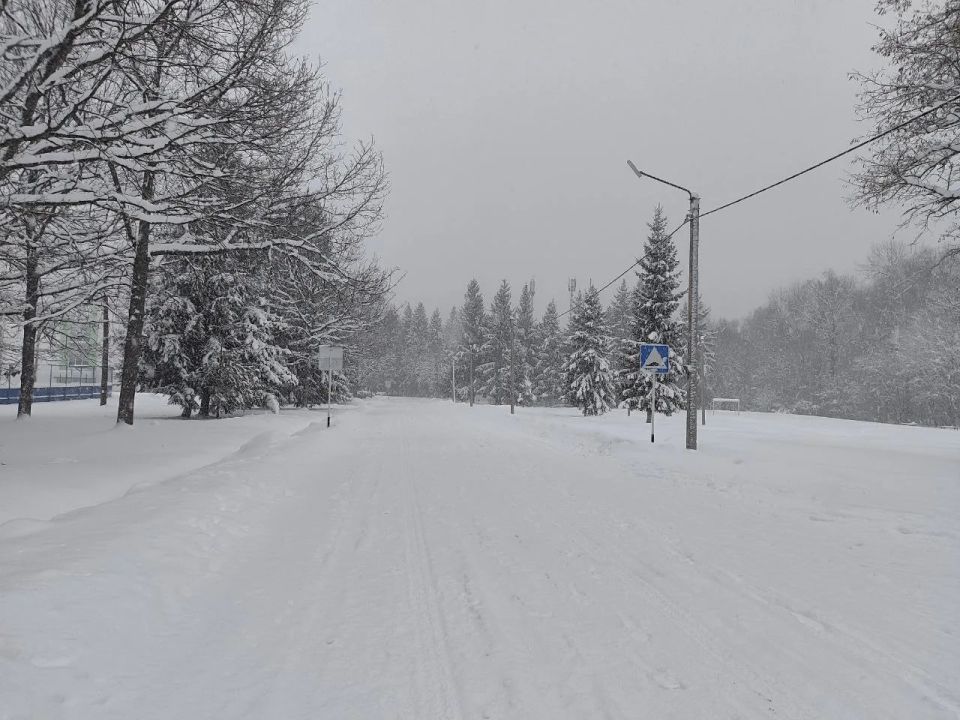 Внимание: ограничение стоянки автомобилей на время очистки дорог от снега