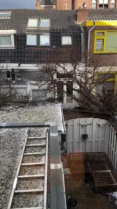 Дикая природа удивительна. Только посмотрите на этого хищника, который завершил свою охоту и торжественно несет павшую добычу