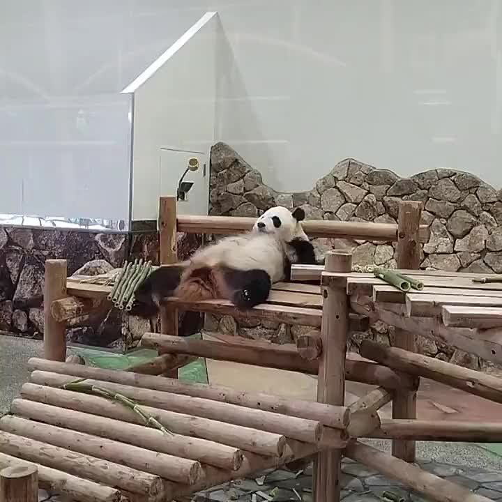 Когда ты слышишь будильник, но понимаешь, что не можешь встать