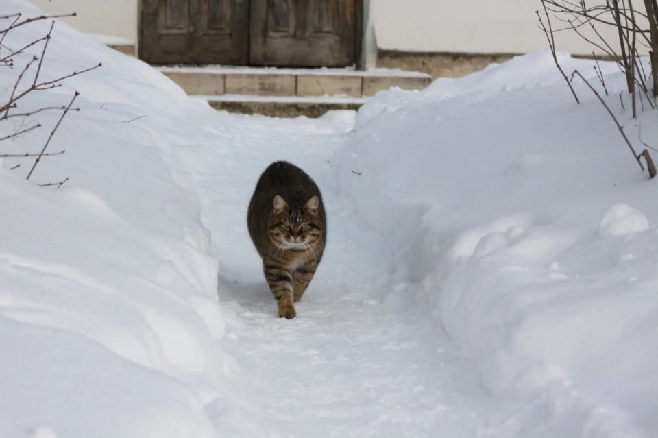 ���� �� ���������: ������� ���� ���������� ������ 18 � 19 ������