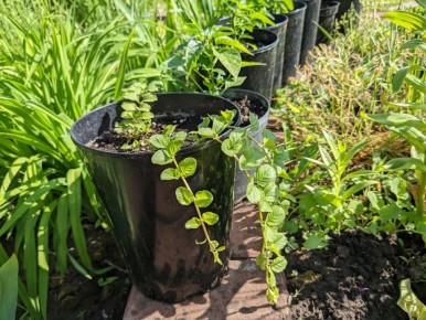 �������� ���������: ��� �������� ��������� ����� �� ����