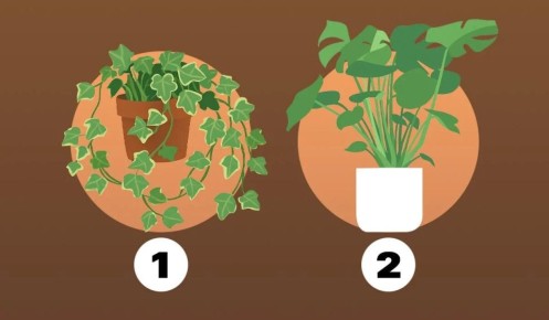 ��� ������ ���������� ������ �������� � ���������� �����