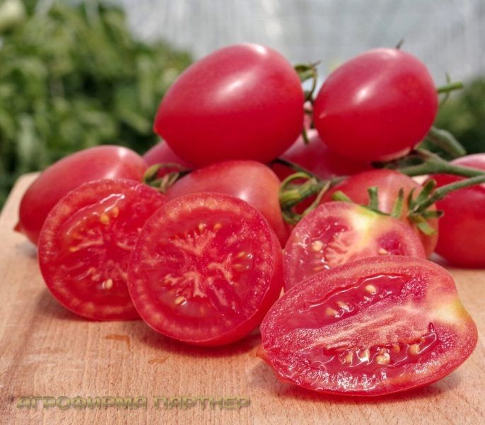 Томат Агроденс: надежный выбор для современных огородников