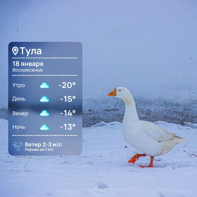 ������ ����. ������ ���� ����������� ���������� � ������� ���!