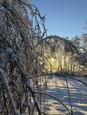 ������������ �������� ������, ��������� ���� ��� ������ � ������, �������� �� ���� � �������� ���� ����� ��� ������, ����� �������