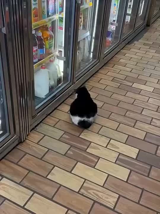 ������� ������ ����������. ������ ���� ���� ���24 | �������� ������� | �� � ���