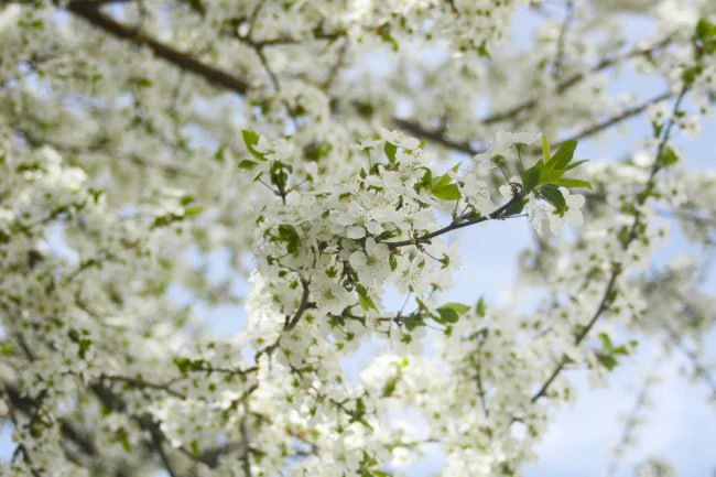 � ��������� ����� �� ����� �������