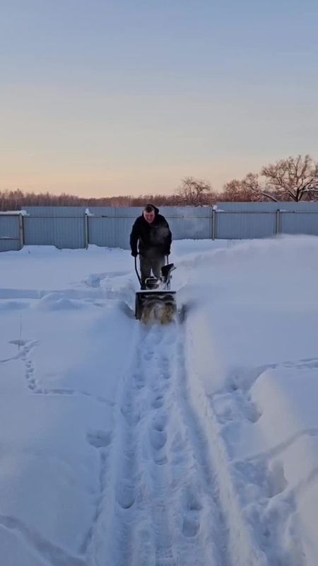 ���� ��������: ���� ��������� �� � �� �� ������