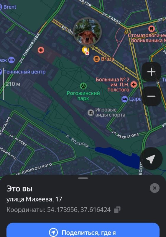 ��� ��, ��� �: � ������� ������� ��������� ����������� �������� ����������� � �������� �������