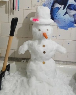 � �������� ������ ��������� ���� ������ ���� ��-�� ������������ ������