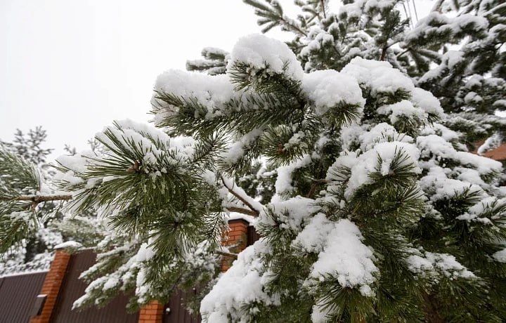 Погода на 19 января. Время рассвета: 08:37