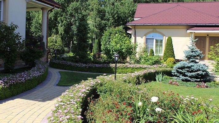 Трансформация заброшенного участка: от бурьяна до цветущего рая