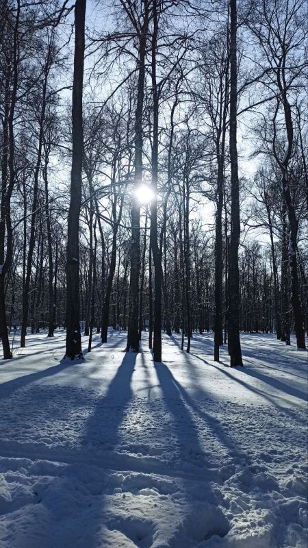 ��������� �� ������� �������, ������� ��� �������� ������� � ������ �������� ���� ������, ����� ������ �����������������