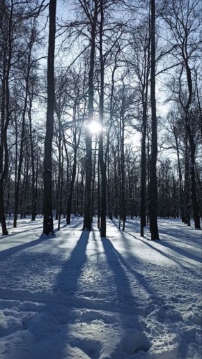 ��������� �� ������� �������, ������� ��� �������� ������� � ������ �������� ���� ������, ����� ������ �����������������