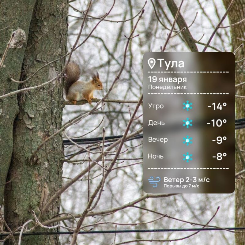 Доброе рабочее утро. Удачного понедельника! Надеемся, вы как следует отдохнули