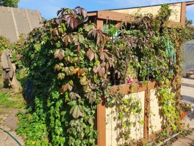 ��� ����������� �������� ����������� ���� ���� � ��� � ���� ������