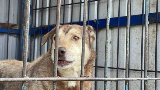 � �������� �������� �������� �������� ��� ��������� � ������� ���