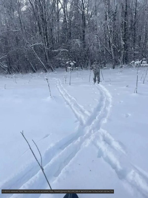 ����� �� ������ ������ �������� �����