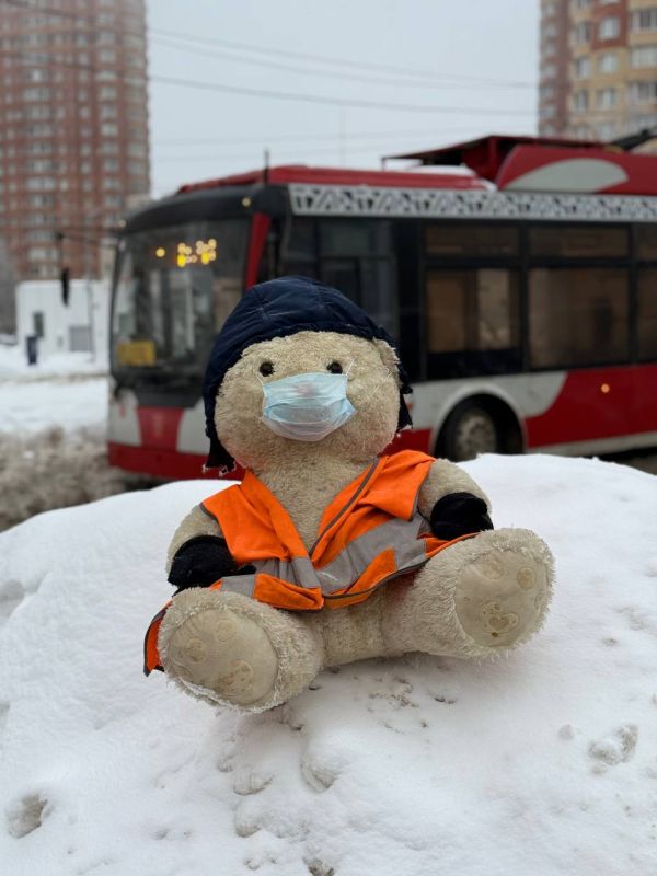 �������� �������� ������������ ���� �� ������ ����������