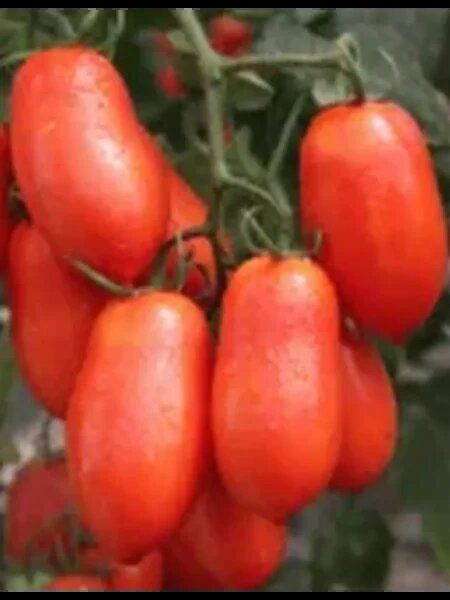 ����� �������: ��������� ����� ��� ������ ���� � ���������