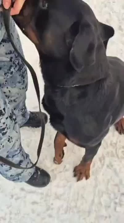 ���� �����! ��� ��������. � ���������� ��� �������� � ���� ������ ����� ������������� ������