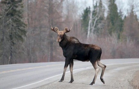 �� ������� ���� ��� � ���� ���������� ����������� �� 80 ����� ������