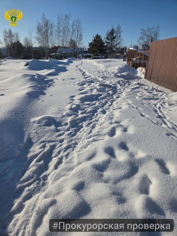 Из-за недобросовестного исполнения чиновниками обязанностей инвалид по зрению и его супруга оказались в «снежном плену» – дорогу к дому не расчистили