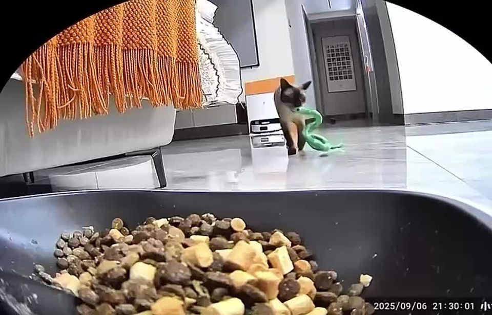 ���������� ��������� � �������, ��� ����� �������� ��������� ���� �������