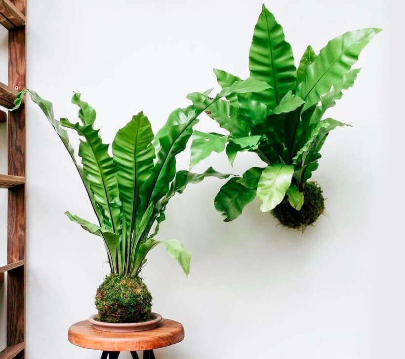 ���������: �� �������� �� ������ ���� � ��� ��������� �� ���� ������� �����