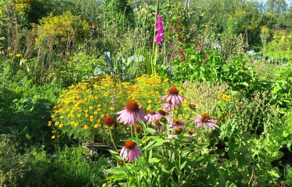 ���������� � ����: ��� ��������� ������� ���������� ������� �����������