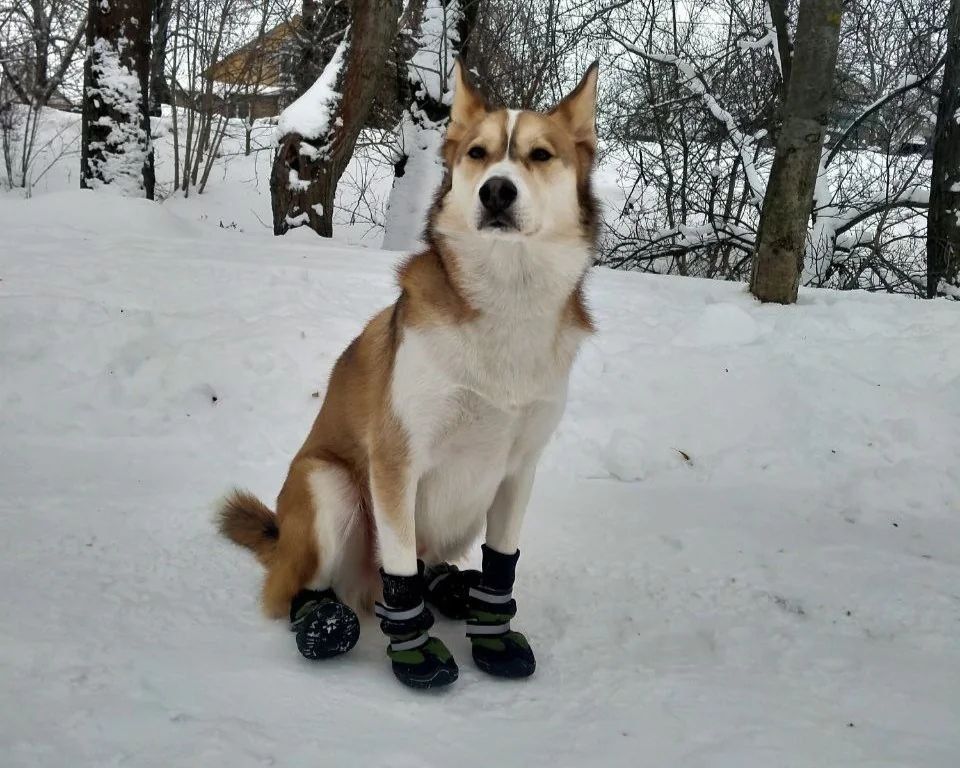 ��� ��� ������ �� ������ ����� 71� ���� ������� �� �������� ������