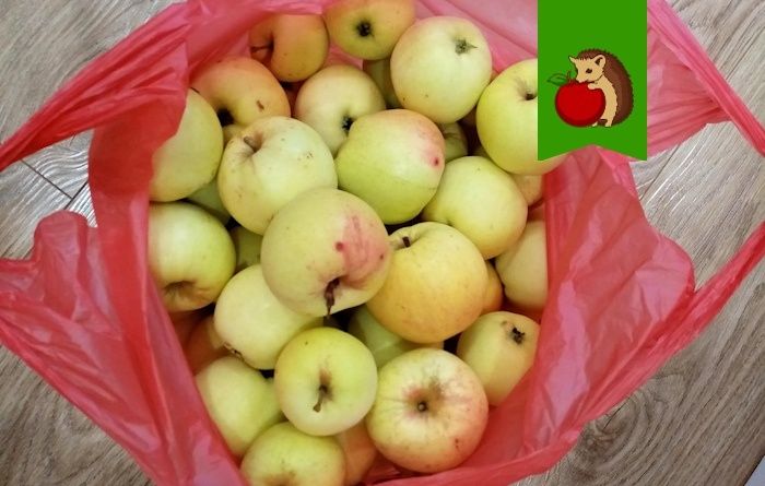 Секреты долгого хранения яблок: как сохранить свежесть до лета