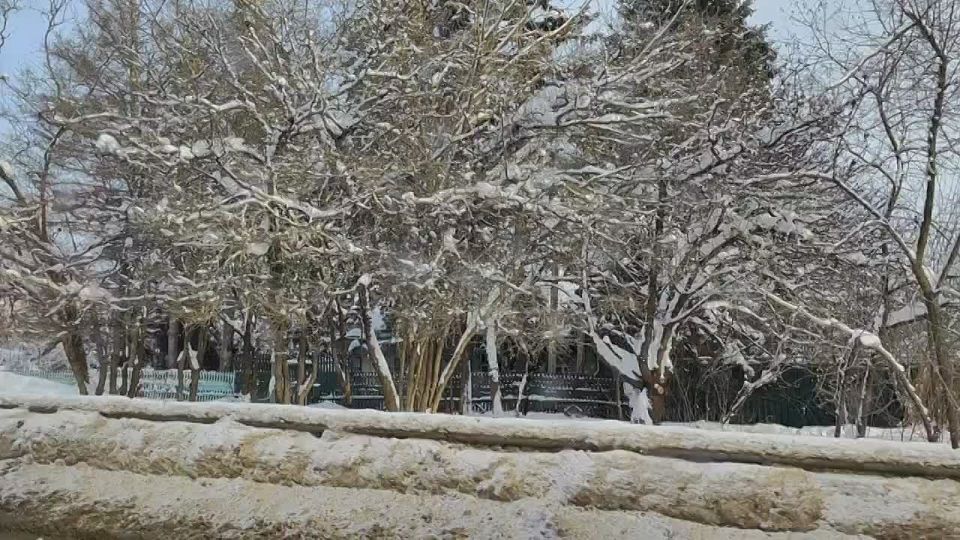 � ���� �������� �� ��� ��������� ���������� �� �������������