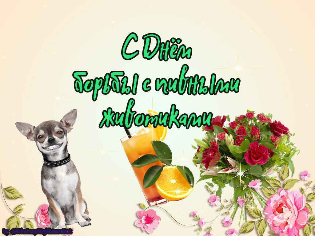 #КорочеПраздники на 22 января