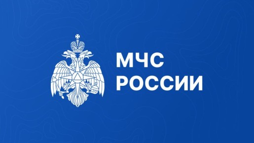 Узнать о плановых проверках органов госпожнадзора МЧС России можно онлайн