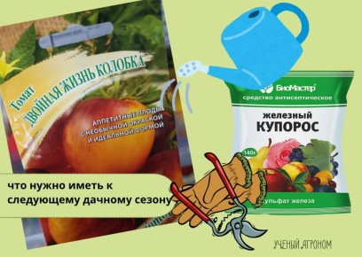 ������� �������-���� ��� ��������: ��� ������ ������ ���������� ��� ������ ������