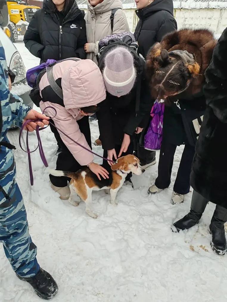 В Новомосковске в рамках акции «Студенческий десант» студенты познакомились с работой полиции В Новомосковске в рамках акции «Студенческий десант» студенты познакомились с работой полиции