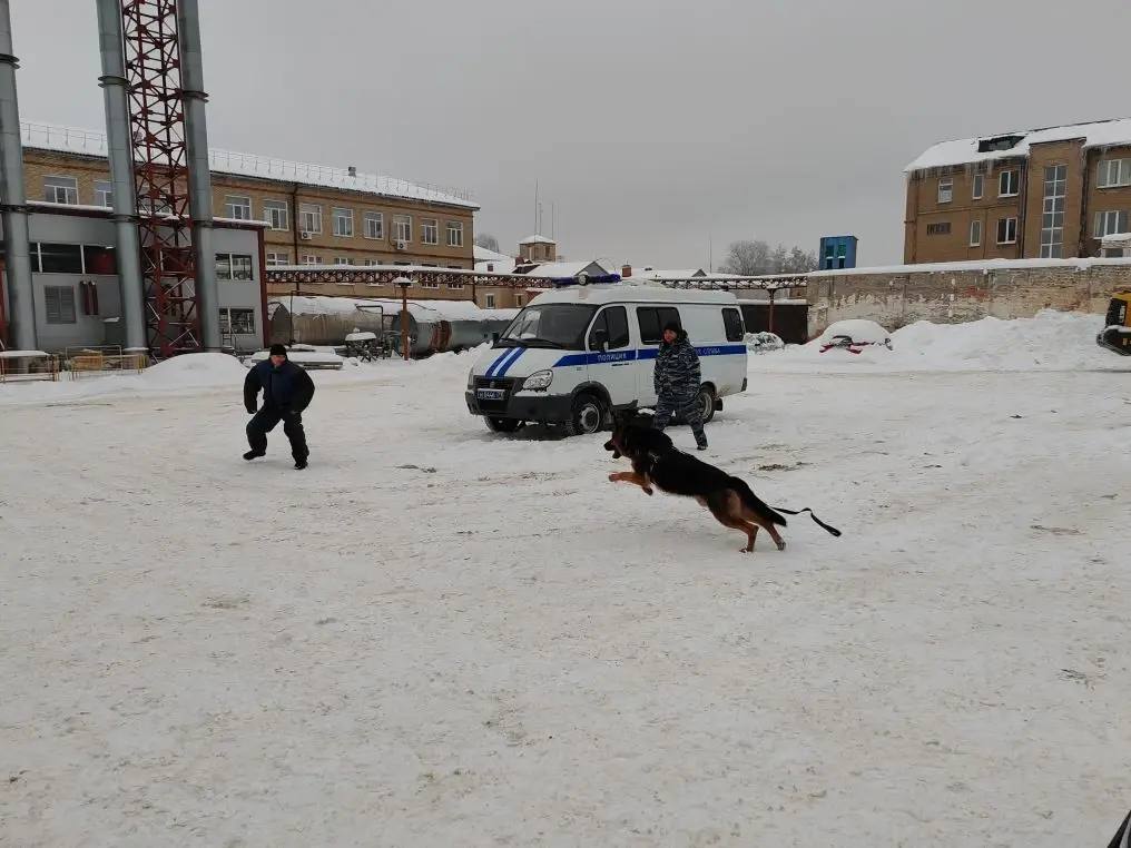 В Новомосковске в рамках акции «Студенческий десант» студенты познакомились с работой полиции В Новомосковске в рамках акции «Студенческий десант» студенты познакомились с работой полиции